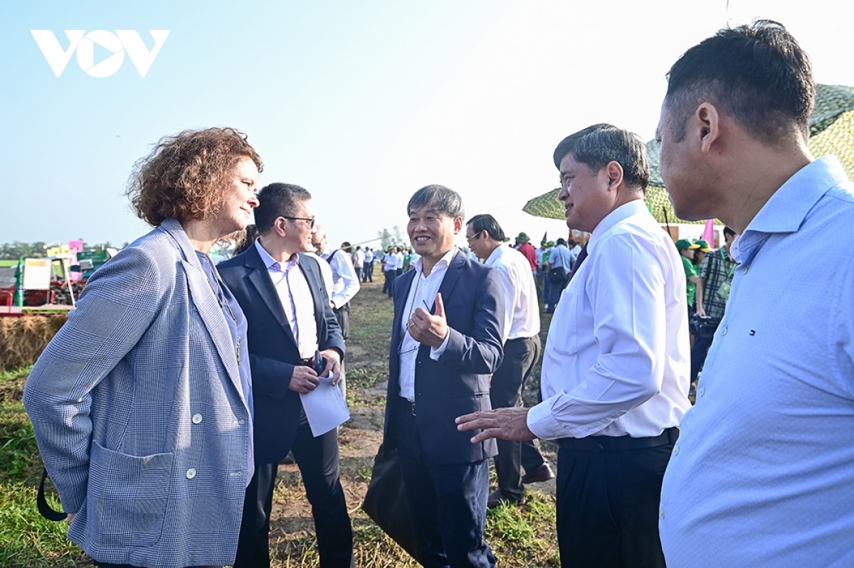 Việt Nam là quốc gia đầu tiên thực hiện Đề án “Phát triển bền vững 1 triệu ha lúa chuyên canh chất lượng cao, phát thải thấp