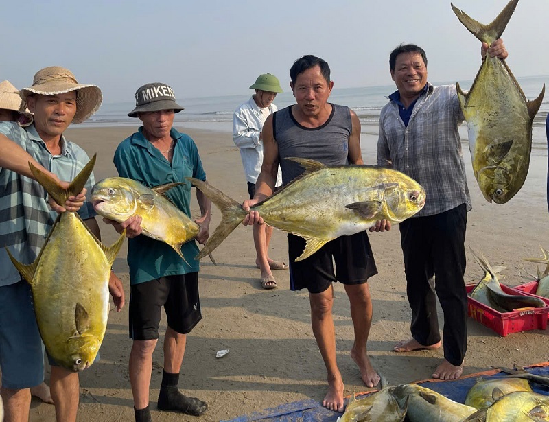 Niềm vui của ngư dân sau những chuyến đi biển trúng luồng cá, sản lượng đánh bắt đạt cao