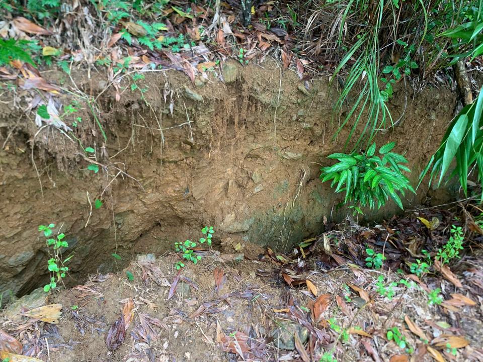 Địa hình đồi núi dốc đứng khiến khu dân cư Nà Nổ đối mặt nguy cơ sạt lở nghiêm trọng.