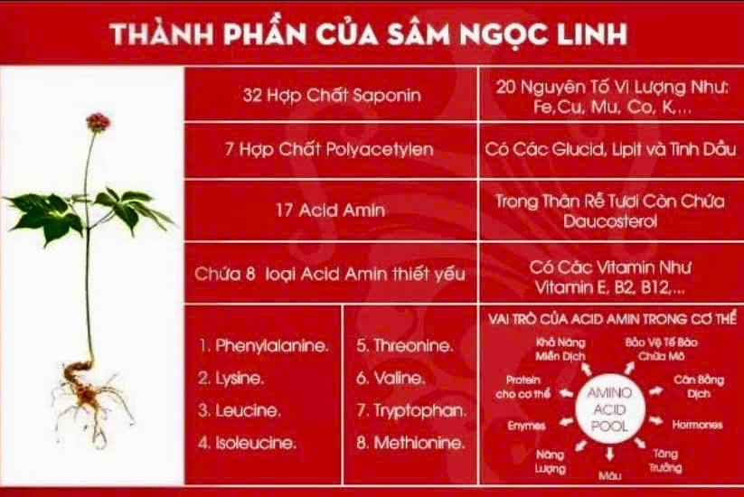 Thành phần của sâm Ngọc Linh.