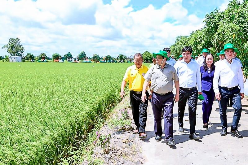Thủ tướng Chính phủ Phạm Minh Chính thăm, động viên nông dân tham gia thí điểm Đề án 1 triệu hecta lúa chất lượng cao tại HTX Thắng Lợi (tỉnh Đồng Tháp).