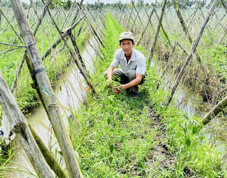 Tiếp tục chuyển dịch cơ cấu nông nghiệp theo hướng nâng cao giá trị.