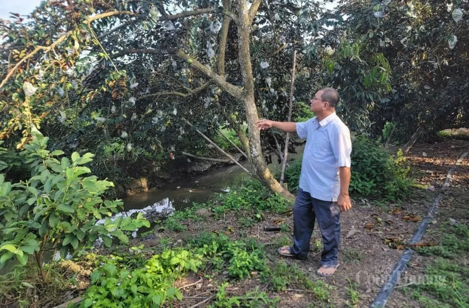 . Ông Hồ Văn Hội, Giám đốc Hợp tác xã Nông nghiệp Trinh Phú . Ông Hồ Văn Hội, Giám đốc Hợp tác xã Nông nghiệp Trinh Phú