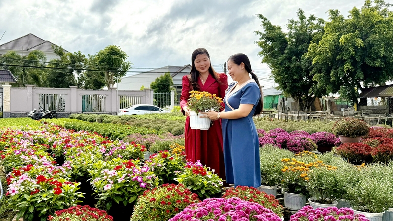 Du khách đến tham quan làng hoa kiểng mê mẩn chụp ảnh, đắm chìm vào không gian rực rỡ.
