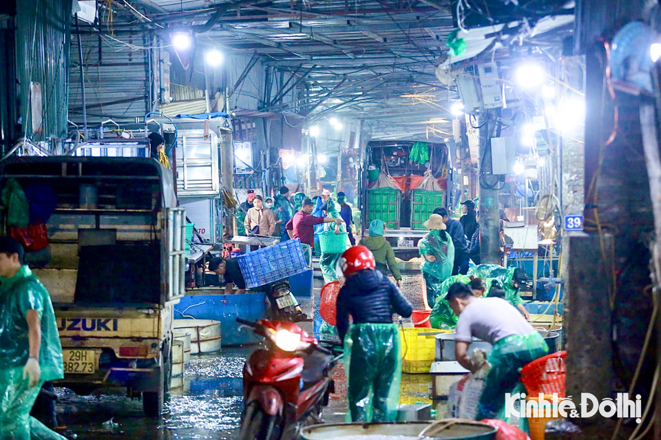 Những ngày này, không khí tại chợ cá Yên Sở (quận Hoàng Mai, TP Hà Nội) đang tập nập, nhộn nhịp buôn bán cá chép tiễn ông Công, ông Táo về trời.