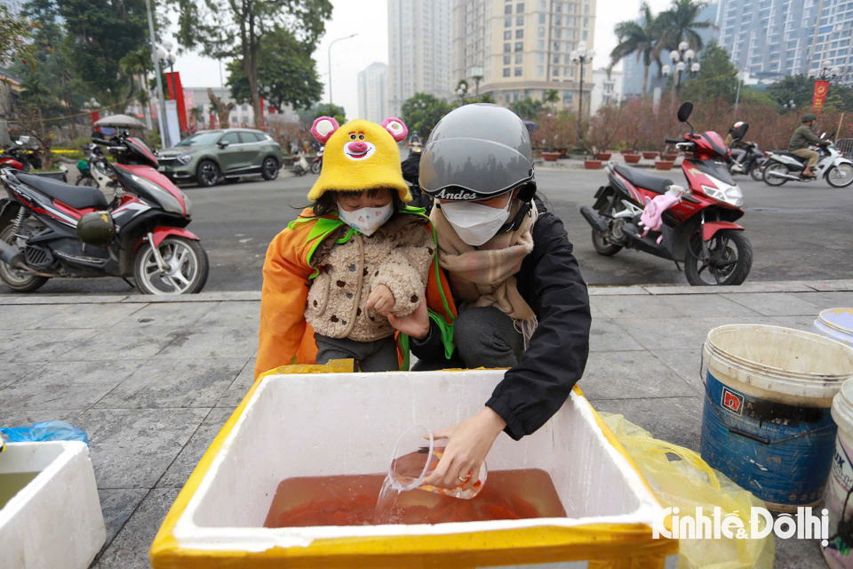 Hà Nội: người dân tấp nập thả cá chép tiễn ông Táo theo kiểu mới - Ảnh 1