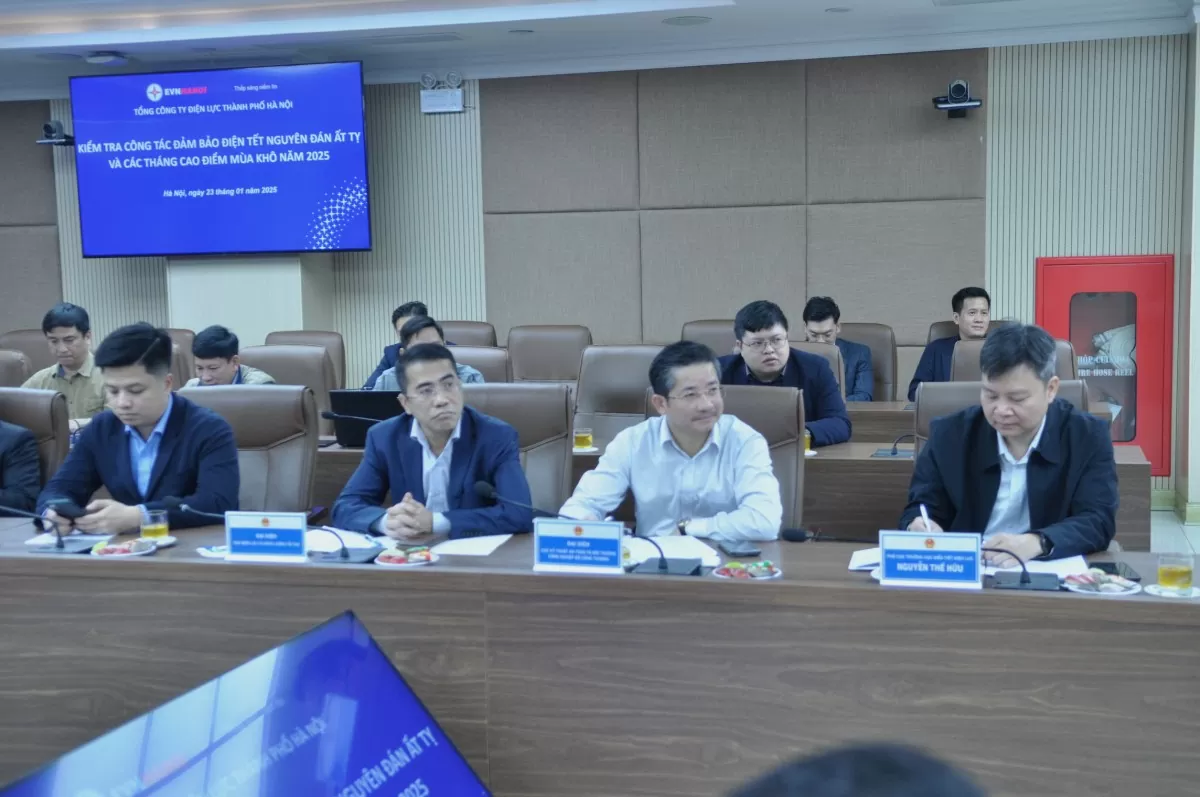 Ảnh Thứ trưởng Trương Thanh Hoài kiểm tra điện dịp Tết Ảnh Thứ trưởng Trương Thanh Hoài kiểm tra điện dịp Tết