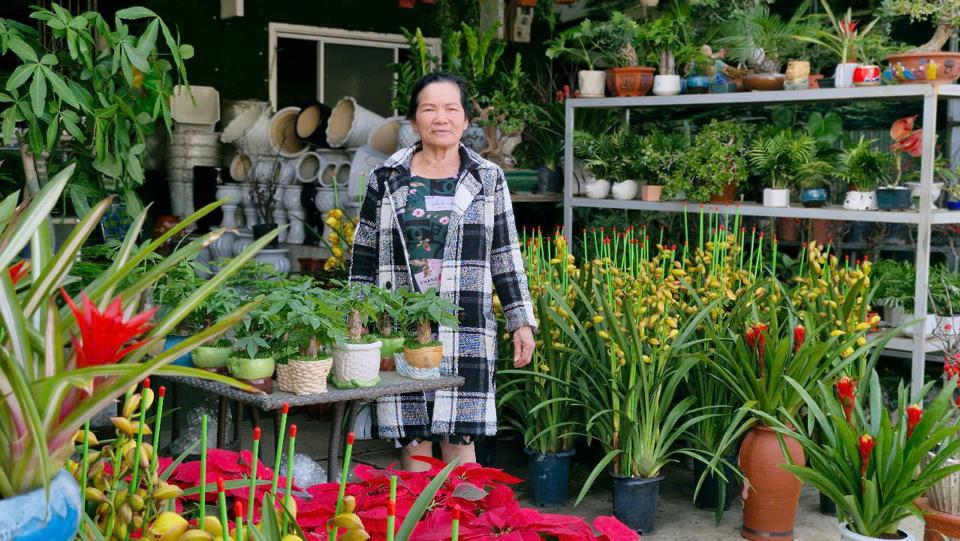 Chợ hoa khu vực Bắc Tây Nguyên ghi nhận nhiều loại hoa, cây cảnh được đem từ nhiều nơi về bán.