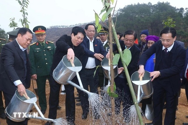 Chủ tịch nước Lương Cường cùng lãnh đạo Bộ, ban, ngành trung ương, địa phương trồng cây đầu xuân. (Ảnh: TTXVN)