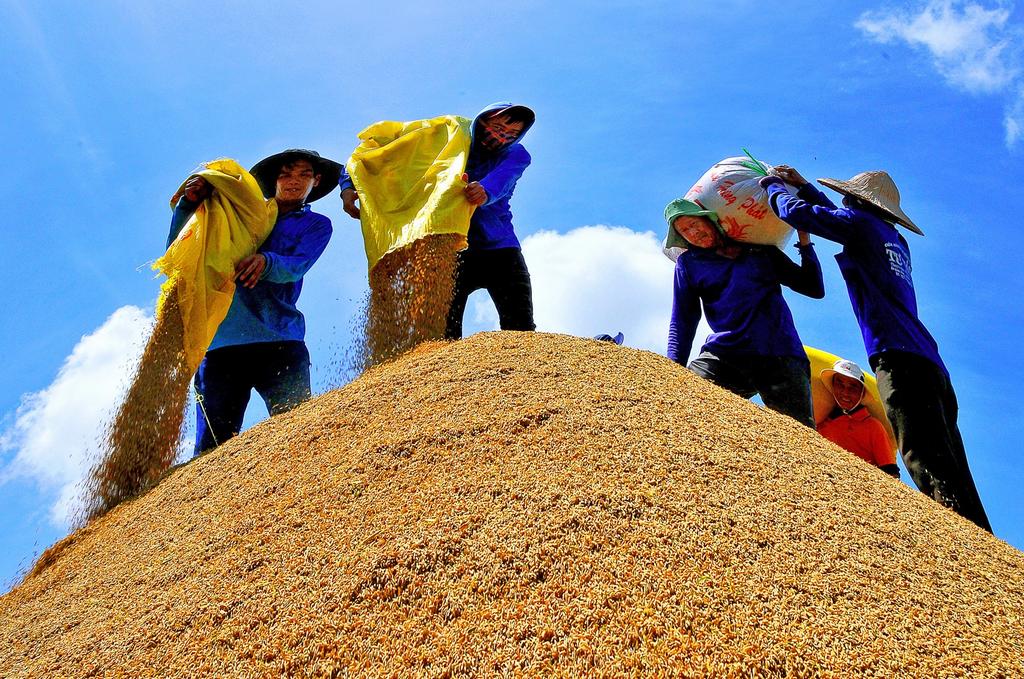 ĐBSCL có thế mạnh về sản xuất và xuất khẩu nông sản. Ảnh: TRẦN NHÀNH