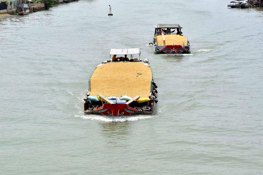 Hệ thống logistics phục vụ sản xuất, kinh doanh nông sản đang dần được cải thiện. Ảnh: DƯƠNG THU