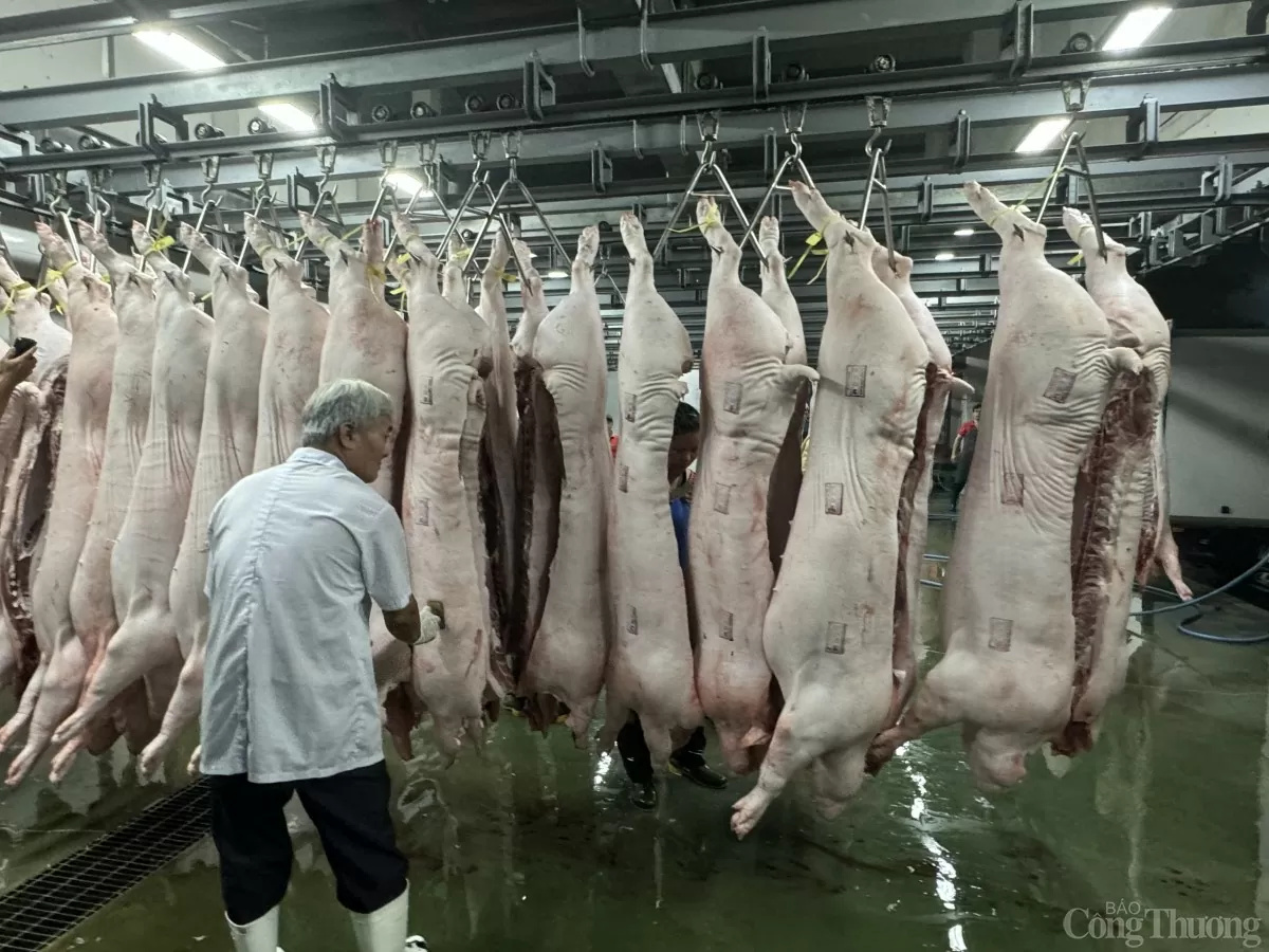 TP. Hồ Chí Minh: Tiểu thương gặp khó do giá heo tăng TP. Hồ Chí Minh: Tiểu thương gặp khó do giá heo tăng