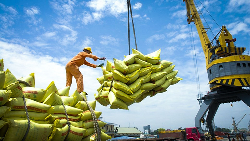 Malaysia là thị trường nhập khẩu gạo khá lớn của Việt Nam. Ảnh minh hoạ.