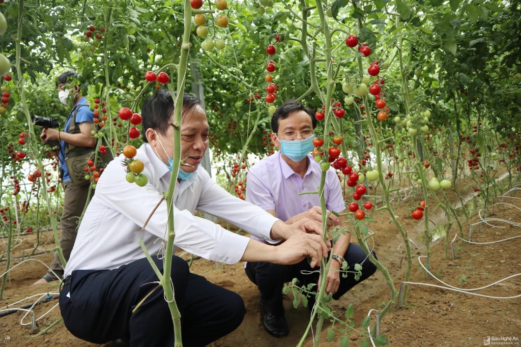 Phát triển đội ngũ khuyến nông chuyên sâu, đẩy mạnh ứng dụng công nghệ số