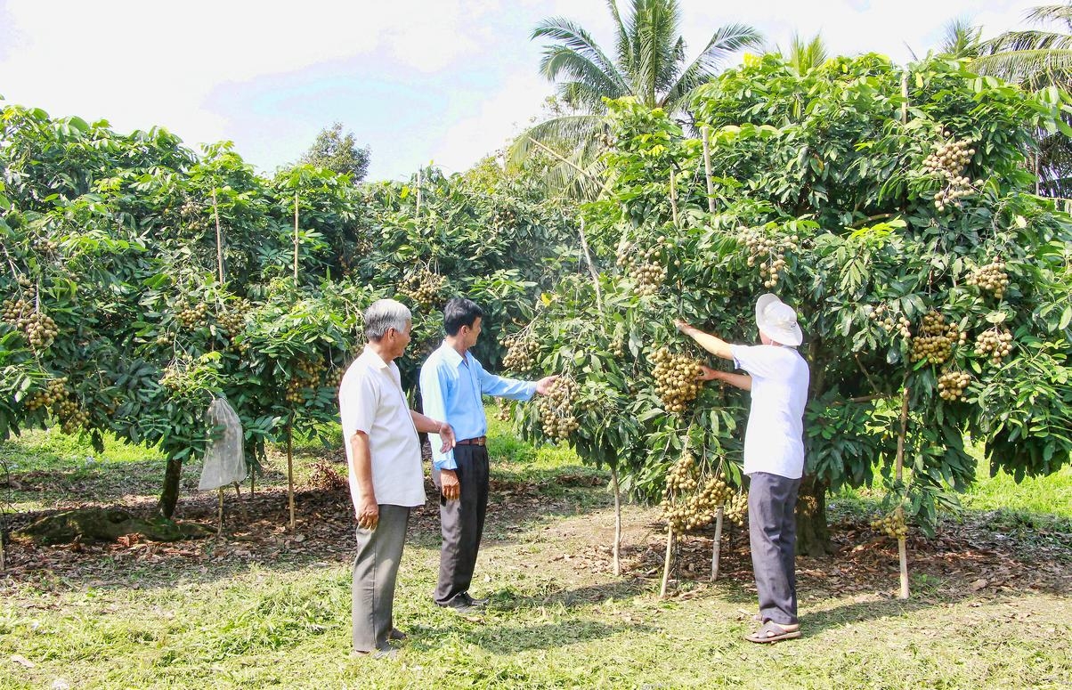Cần tập trung xây dựng vùng nguyên liệu cho xuất khuẩu và đầu tư cho các loại cây chủ lực.