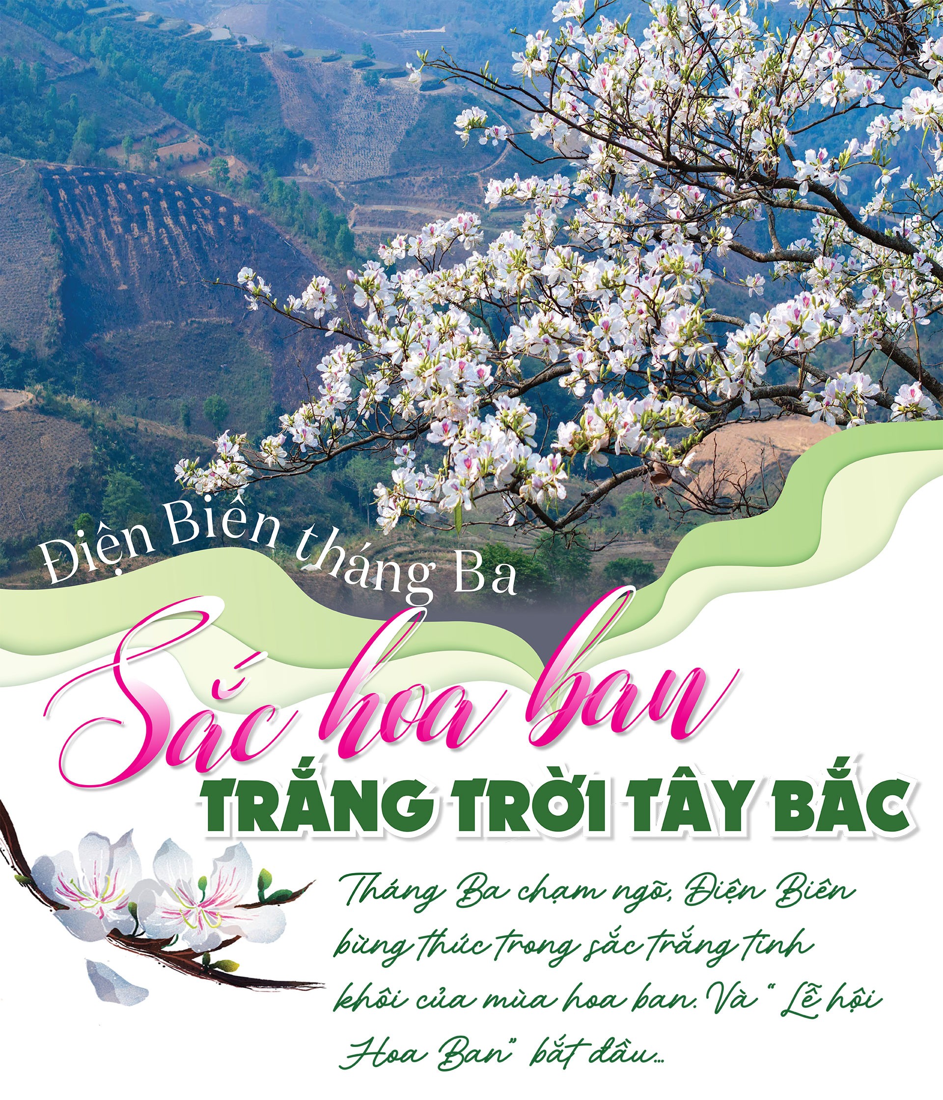 Điện Biên tháng Ba - Sắc hoa ban trắng trời Tây Bắc