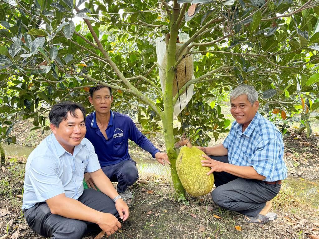 Các cấp hội nông dân đang tập trung hỗ trợ hội viên, nông dân phát triển sản xuất, nâng cao thu nhập.