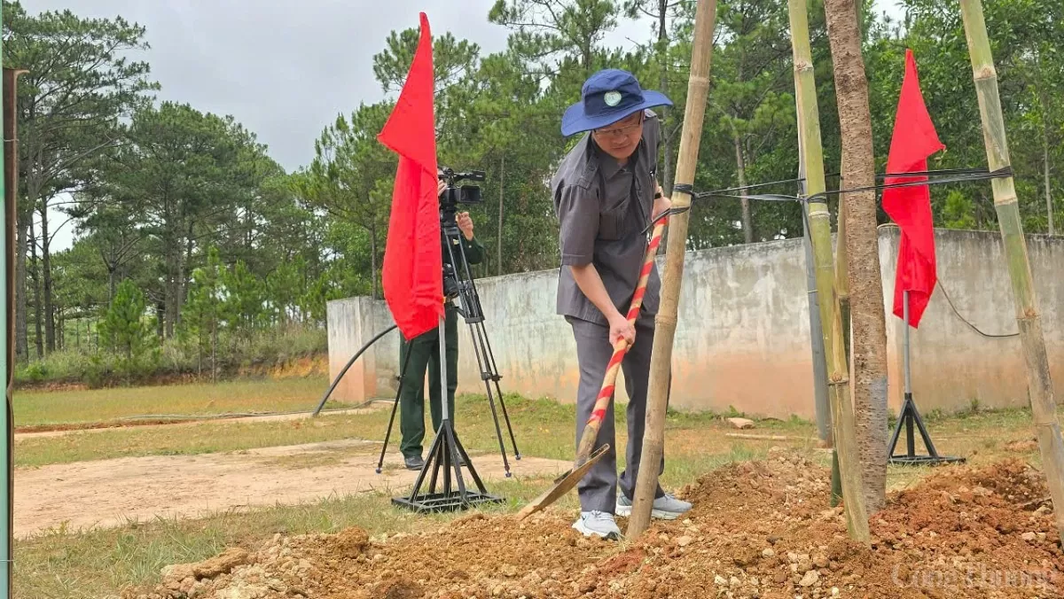 Lâm Đồng trồng 38 triệu cây xanh, bảo vệ 538.000 ha rừng Lâm Đồng trồng 38 triệu cây xanh, bảo vệ 538.000 ha rừng