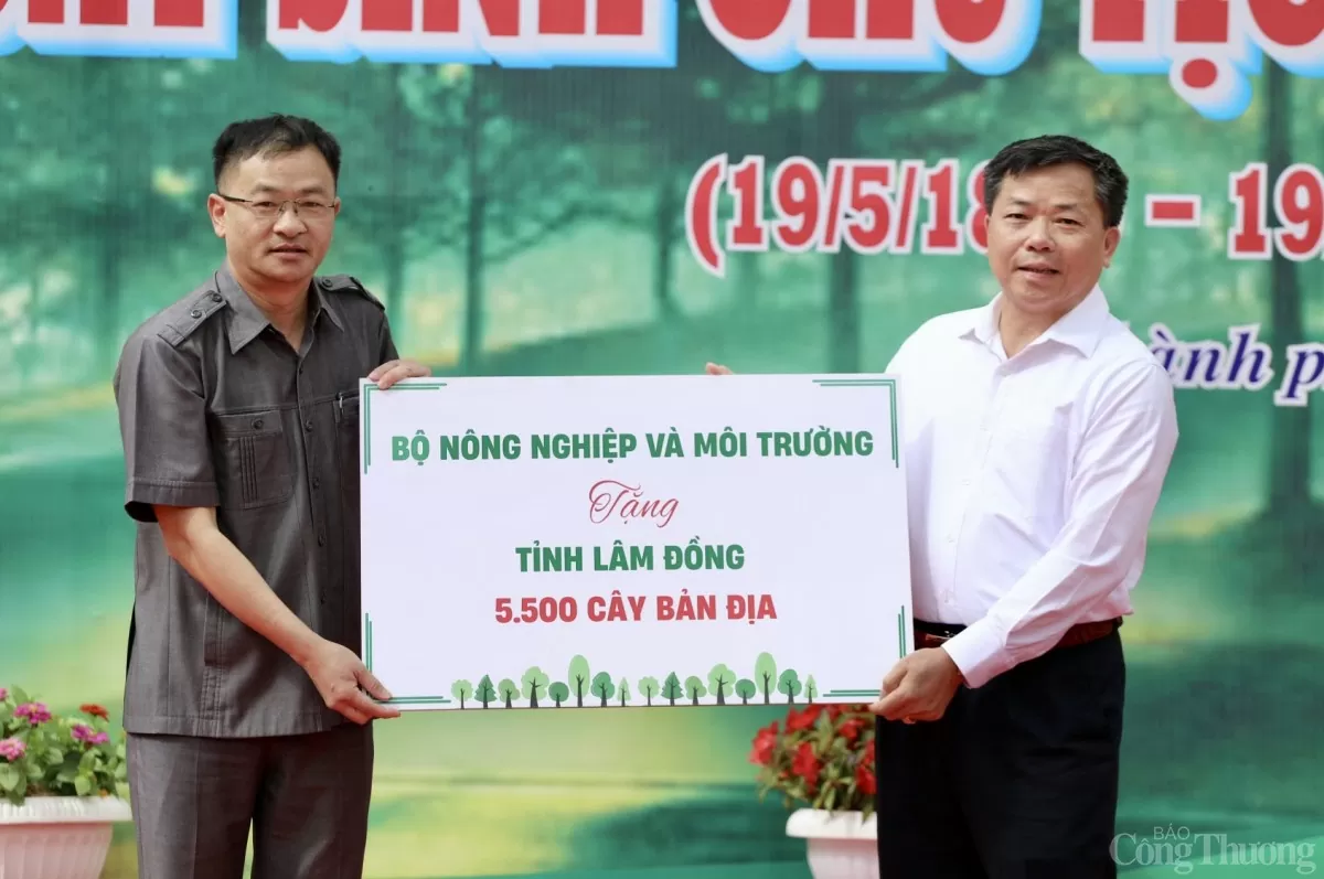 phát động trồng cây phát động trồng cây