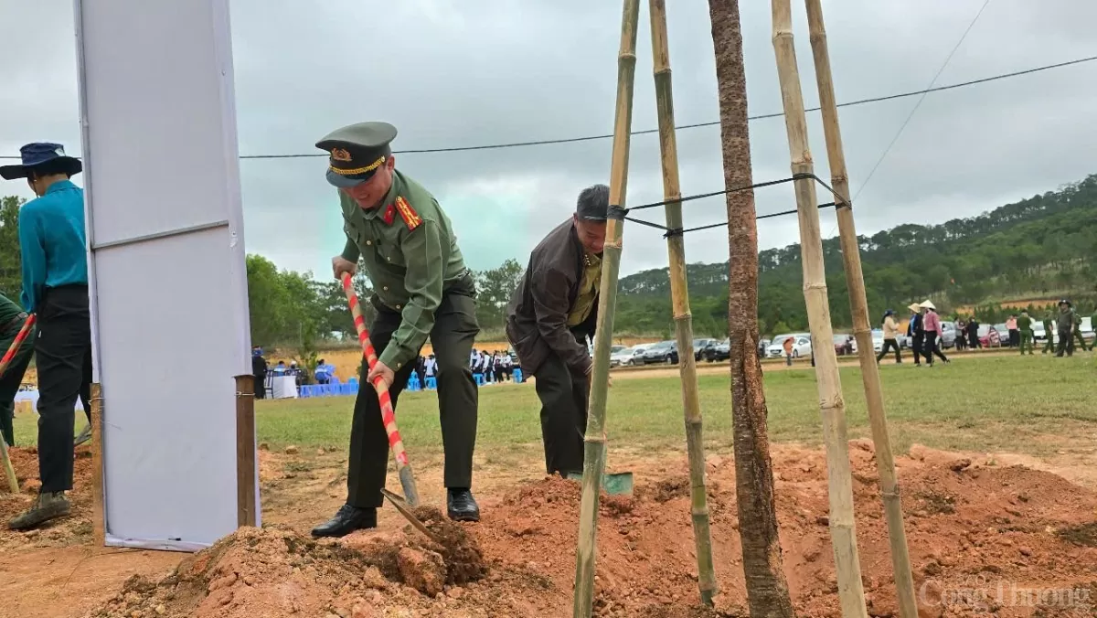 Lâm Đồng trồng 38 triệu cây xanh, bảo vệ 538.000 ha rừng Lâm Đồng trồng 38 triệu cây xanh, bảo vệ 538.000 ha rừng