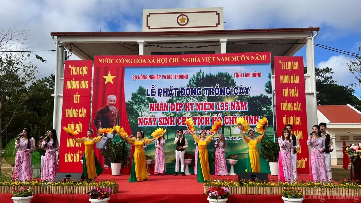 Lâm Đồng trồng 38 triệu cây xanh, bảo vệ 538.000 ha rừng Lâm Đồng trồng 38 triệu cây xanh, bảo vệ 538.000 ha rừng
