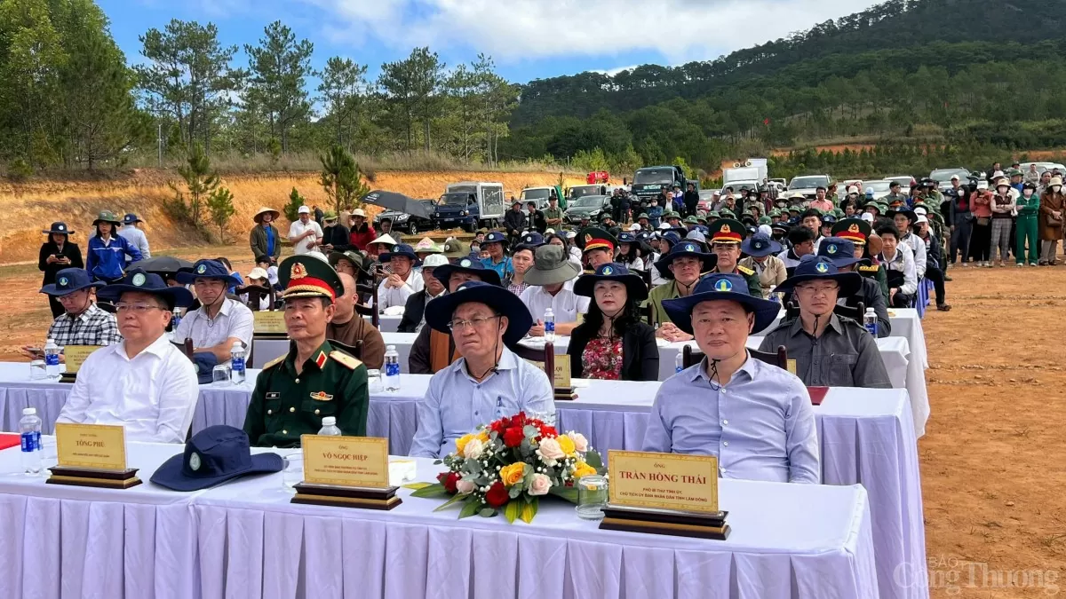 Lâm Đồng trồng 38 triệu cây xanh, bảo vệ 538.000 ha rừng Lâm Đồng trồng 38 triệu cây xanh, bảo vệ 538.000 ha rừng