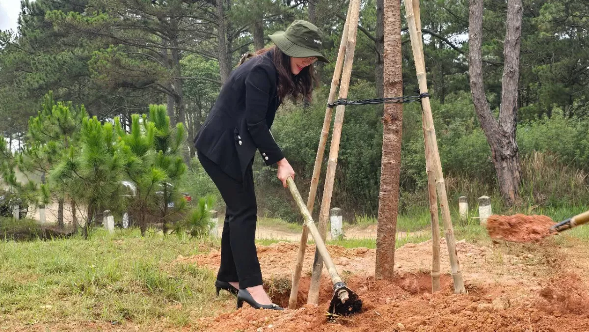 Lâm Đồng trồng 38 triệu cây xanh, bảo vệ 538.000 ha rừng Lâm Đồng trồng 38 triệu cây xanh, bảo vệ 538.000 ha rừng