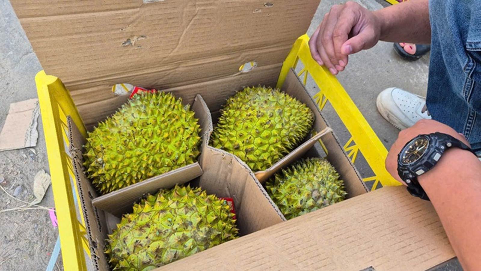 Xuất khẩu sầu riêng sang thị trường Trung Quốc kỳ vọng lấy lại đà tăng trưởng trong nửa cuối năm 2025