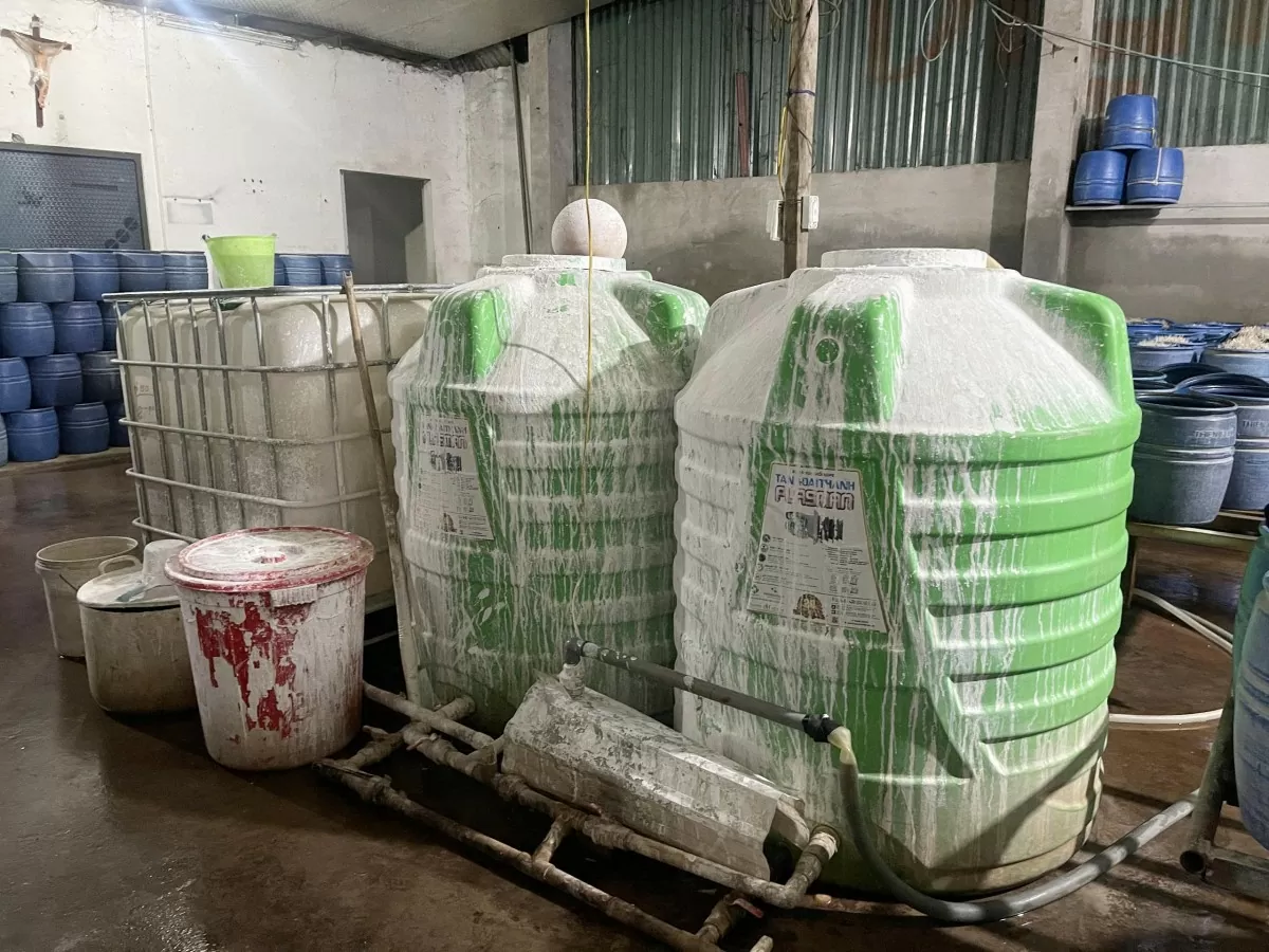 Lào Cai: Triệt phá hai cơ sở bán hơn 300 tấn giá đỗ ngâm hóa chất Lào Cai: Triệt phá hai cơ sở bán hơn 300 tấn giá đỗ ngâm hóa chất