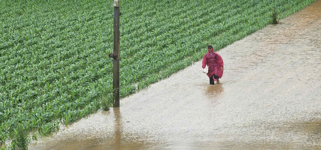 Miền Trung mưa trắng trời, hoa màu chìm trong biển nước
