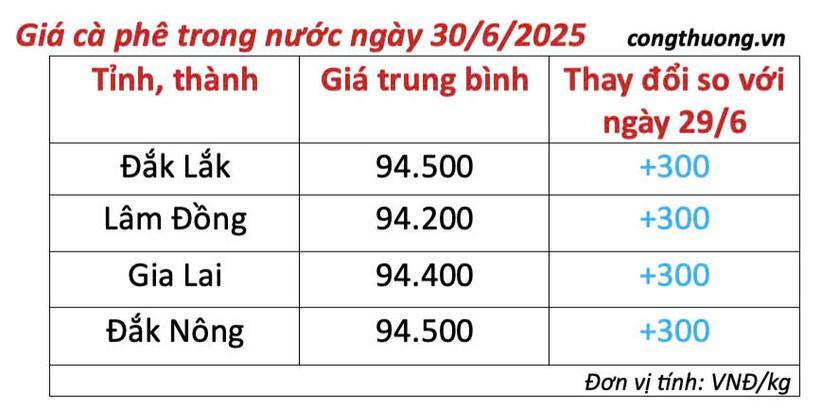 Bảng giá cà phê trong nước cập nhật chiều ngày 30/6/2025