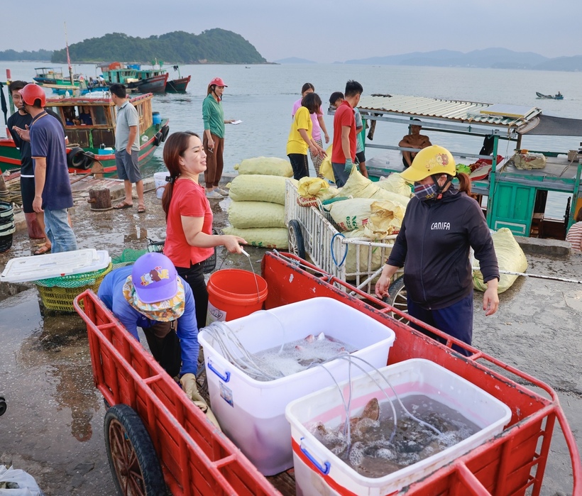 Ngư dân đặc khu Cô Tô bám biển, bảo vệ chủ quyền biển đảo Tổ quốc