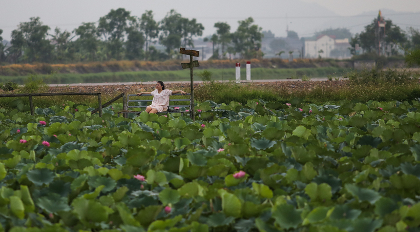 Ngoài ra còn giúp cải thiện môi trường sống, cảnh quan làng quê thêm xanh, sạch và đẹp