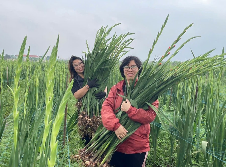 Xã Thuận An đẩy mạnh sản xuất nông nghiệp ứng dụng công nghệ cao