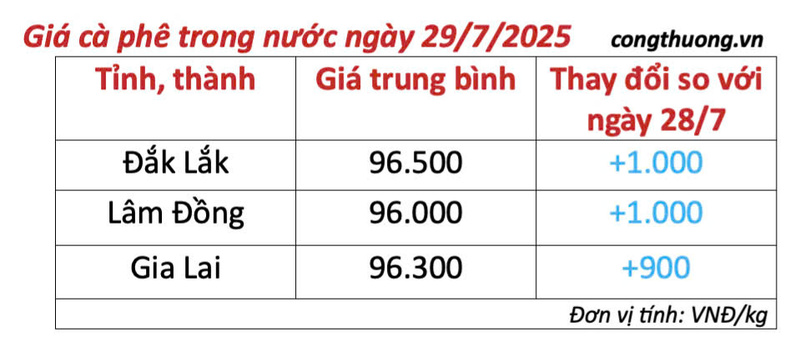 Bảng giá cà phê trong nước sáng ngày 29/7/2025