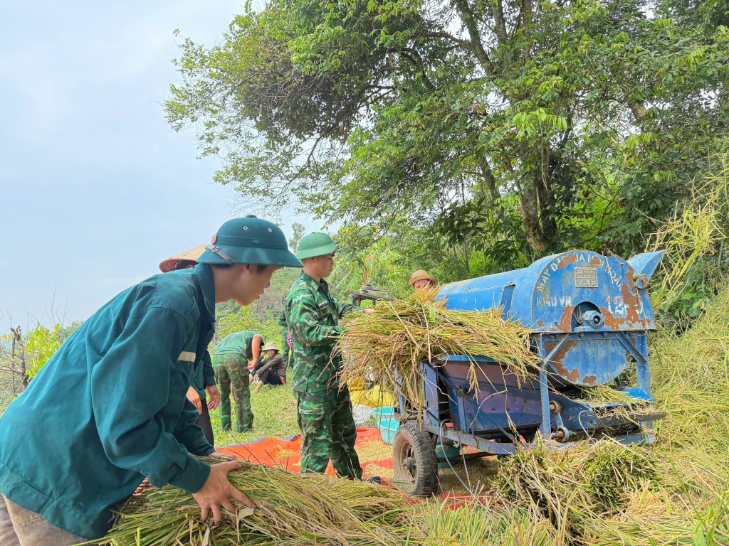Chiến sỹ quân hàm xanh gặt lúa giúp các hộ gia đình khó khăn