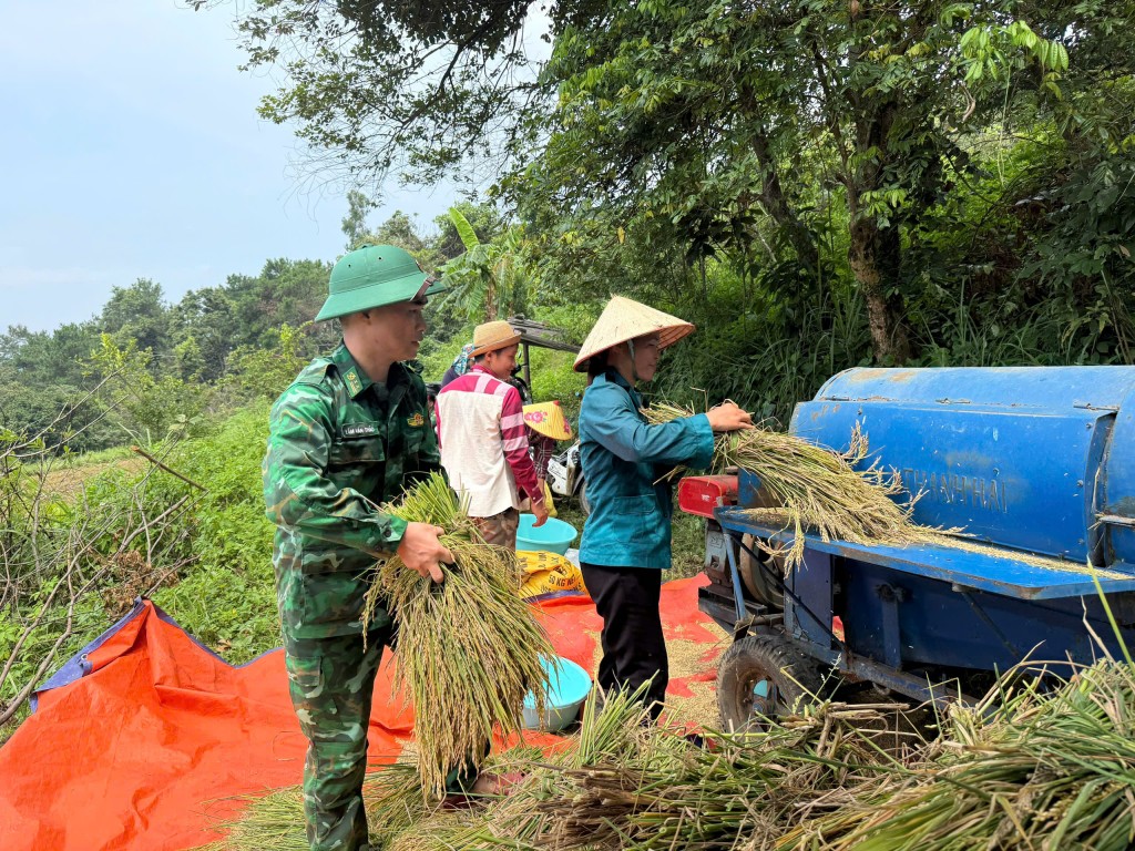 Chiến sỹ quân hàm xanh gặt lúa giúp các hộ gia đình khó khăn