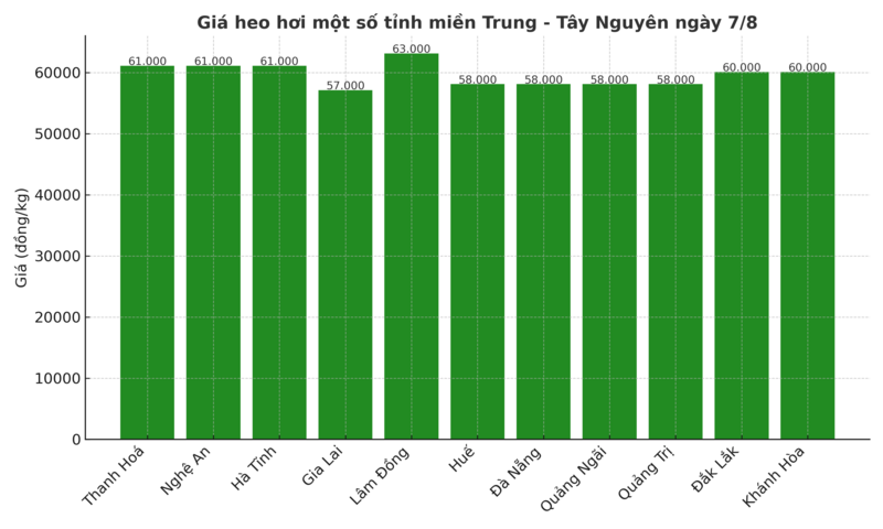 Biểu đồ giá heo hơi một số tỉnh khu vực miền Trung - Tây Nguyên ngày 7/8.