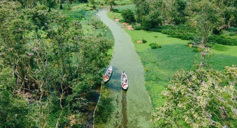 Vẻ đẹp xanh mướt của lõi rừng tràm Trà Sư (tỉnh An Giang) khi nhìn từ trên cao. Ảnh: Trasu Tourist Area.