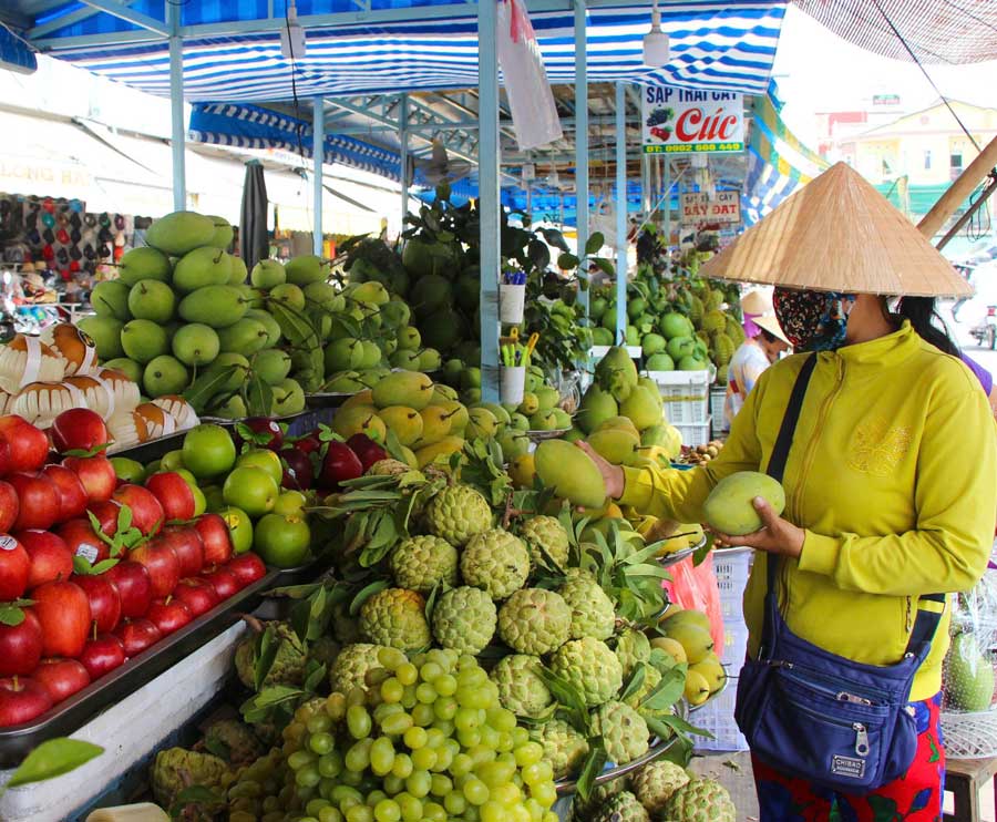 Nguồn cung dồi dào, giá nhiều loại trái cây giảm mạnh.