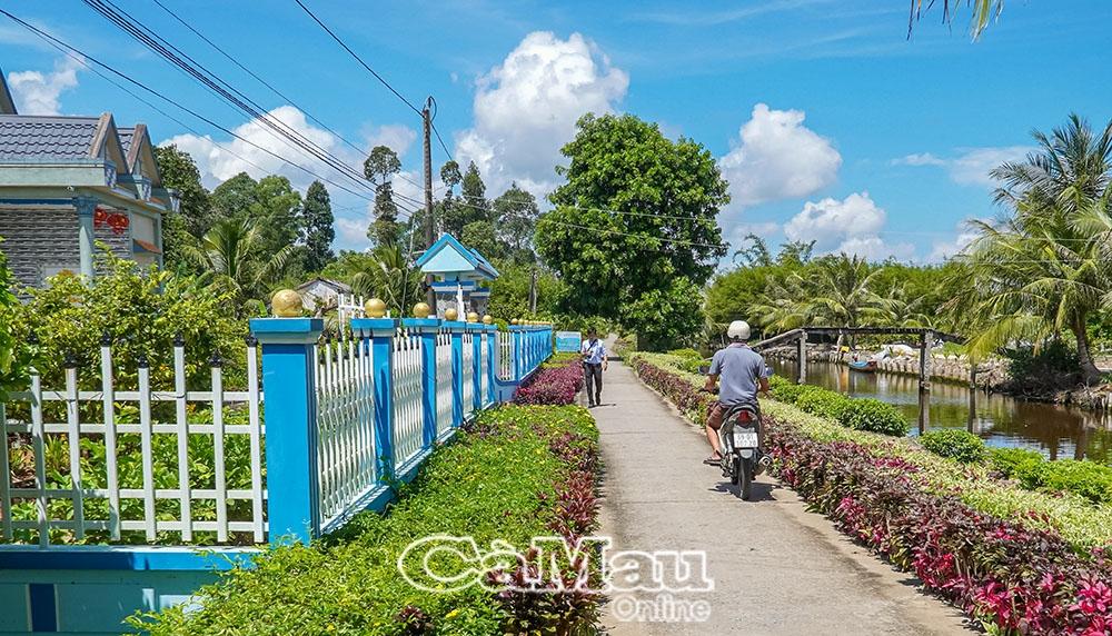 Những tuyến đường hàng rào cây xanh ở ấp Tấn Công đẹp mắt, tạo diện mạo cho vùng nông thôn.