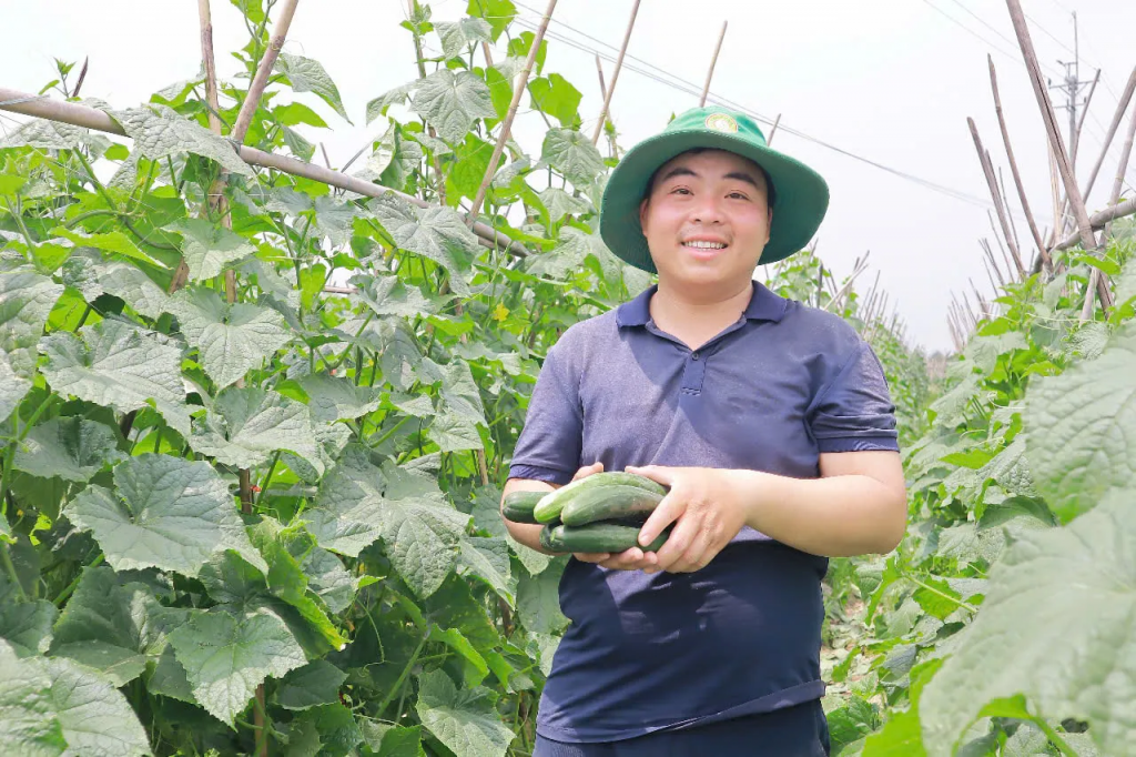 Hà Nội thúc đẩy nông nghiệp đa giá trị, hướng tới phát triển bền vững Hà Nội thúc đẩy nông nghiệp đa giá trị, hướng tới phát triển bền vững