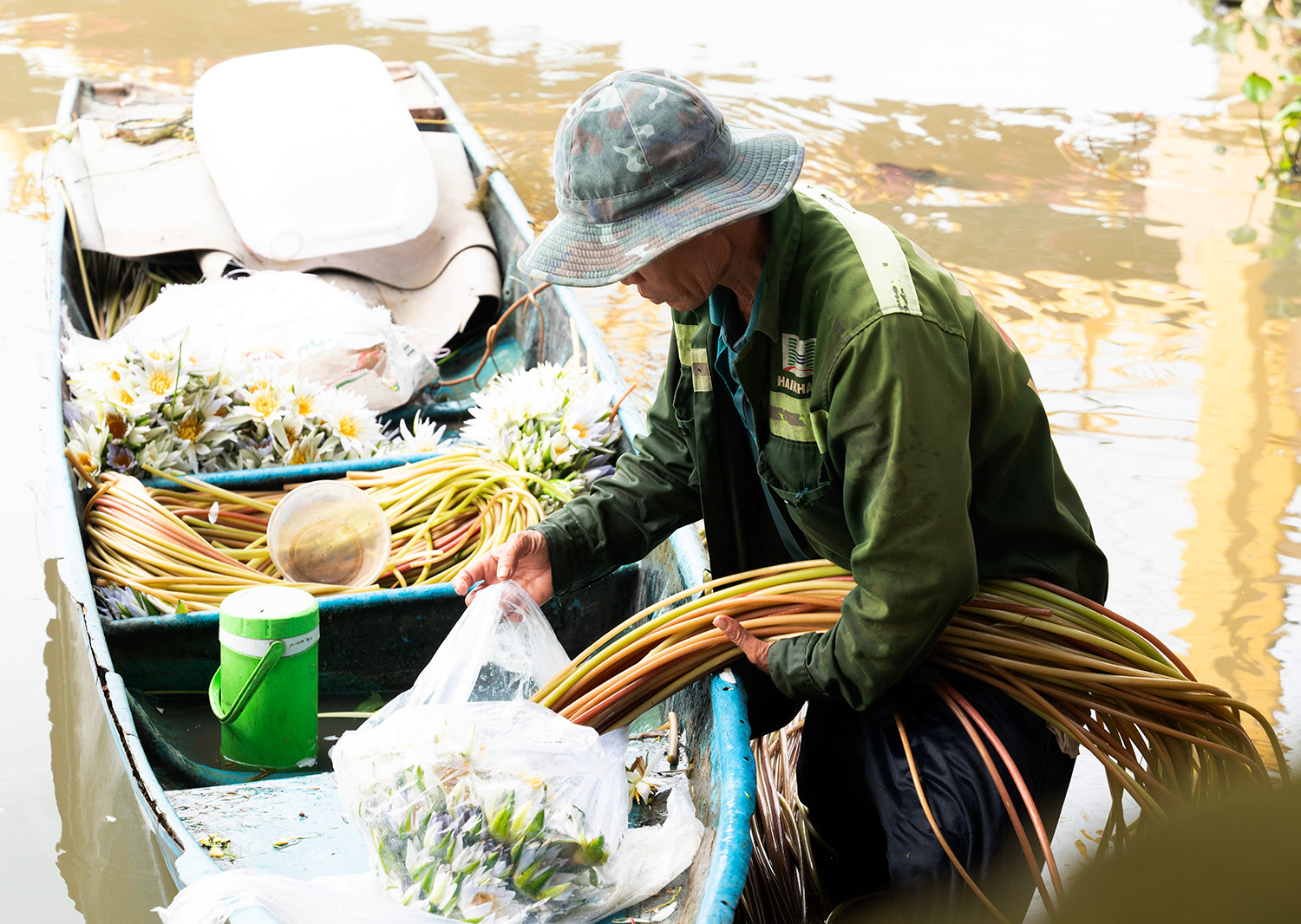 Ông Nguyễn Văn Thanh bó bông súng để bán cho người dân. Ảnh: TRUNG HIẾU