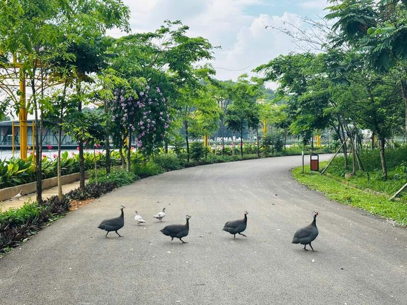 Bắt trọn khoảnh khắc cùng thiên nhiên