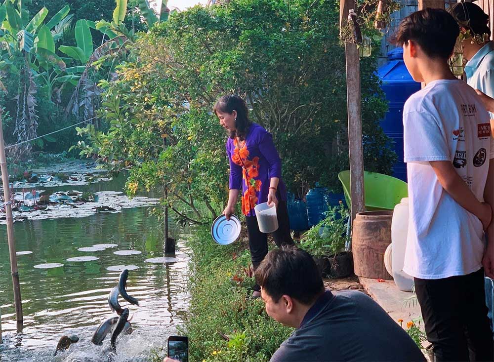 Cá lóc bay (ảnh) là cụm từ quen thuộc khi nhắc đến cồn Sơn. Từng con bay lên thật cao, há miệng bắt thức ăn, tạo nên hình ảnh ấn tượng với du khách. Ảnh: Kiều Mai
