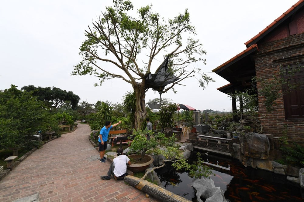 Biến nông thôn Hà Nội thành điểm đến hấp dẫn