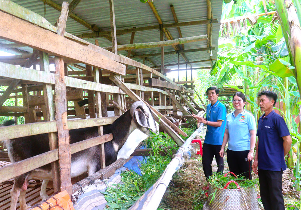 Nông dân thi đua sản xuất, kinh doanh giỏi với nhiều mô hình hiệu quả.
