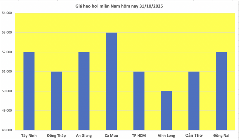 Giá heo hơi hôm nay 31/10/2025: Giảm nhẹ 1.000 đồng/kg tại miền Bắc - 3