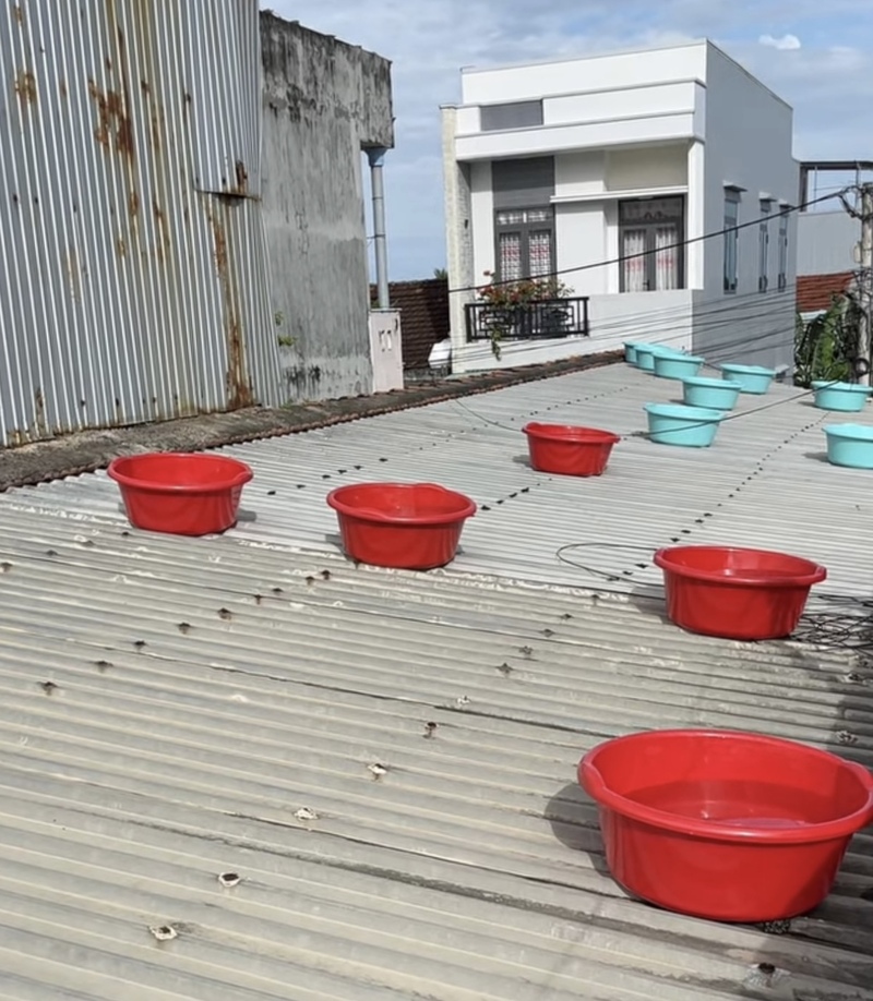 Người dân gia cố mái nhà bằng vật dụng có sẵn trong gia đình.