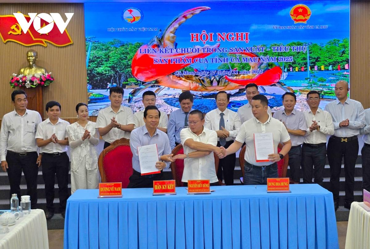 Trong khuôn khổ Ngày hội cua tỉnh Cà Mau tổ chức nhiều hoạt động để quảng bá và tìm giải pháp phát triển ngành hàng cua